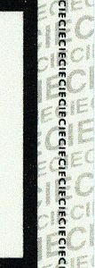 IEC watermark on Nelson Mandela ballot